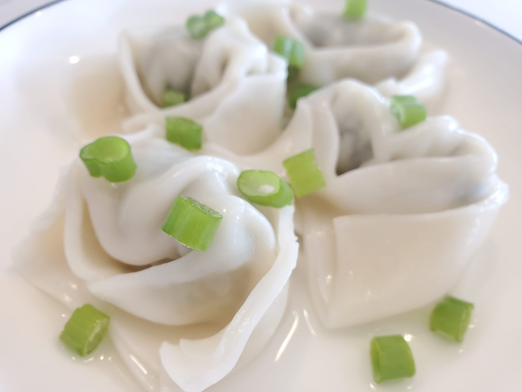 Pork and Vegetable Dumplings (20pcs)
